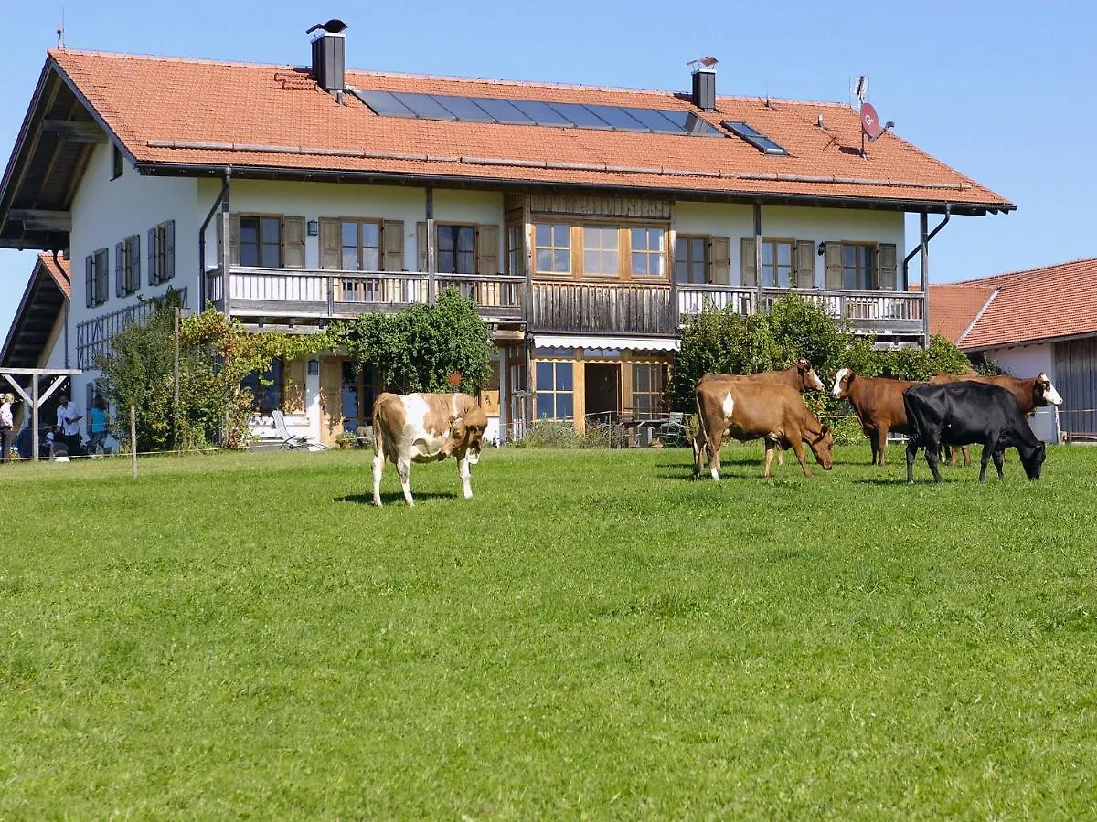 Apartment Seeleitenhof Sindelsdorf Deutschland